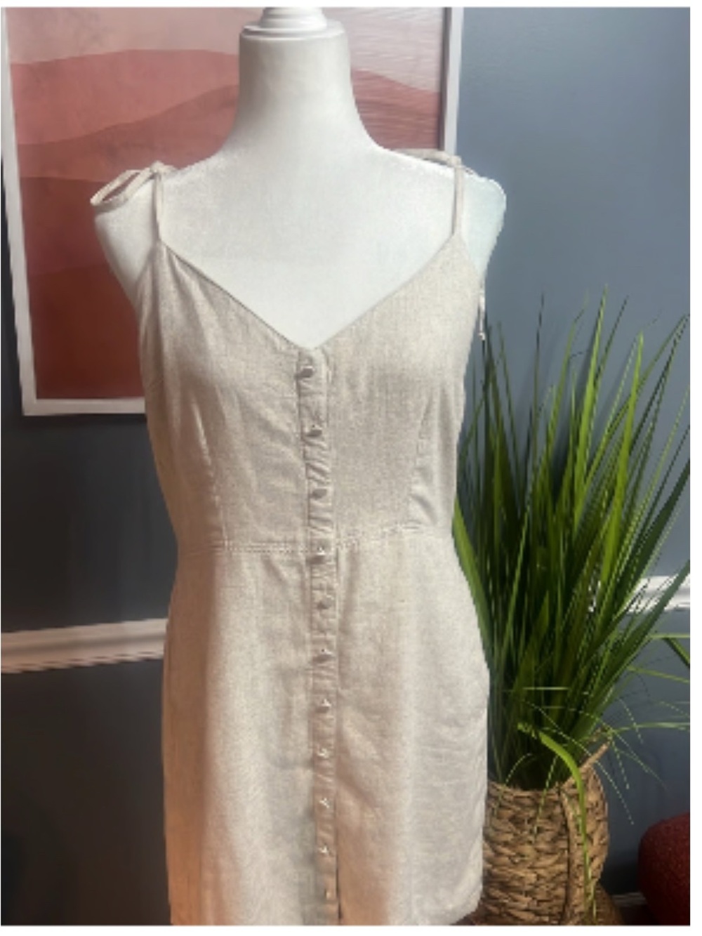 Abercrombie & Fitch Women's Oatmeal Button Front Slip Dress Size XS